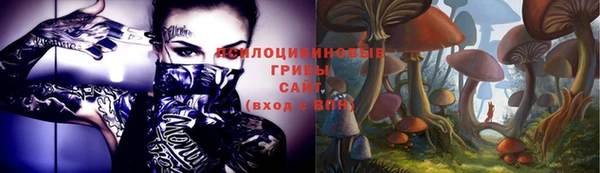 ешки Беломорск