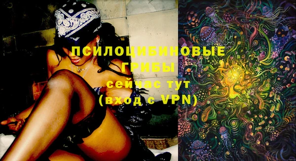 ГАЛЛЮЦИНОГЕННЫЕ ГРИБЫ Баксан