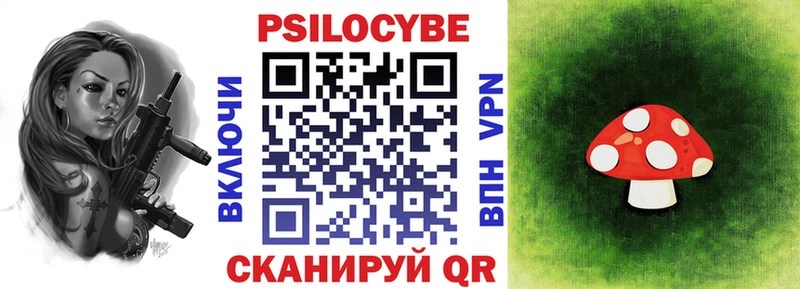 Псилоцибиновые грибы Psilocybe  Кунгур 